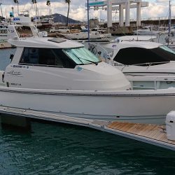 フィッシングボートACE(エース) 釣果