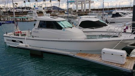 フィッシングボートACE(エース) 釣果