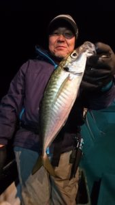 愛海丸 釣果