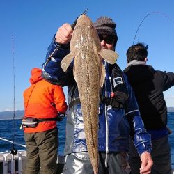 フィッシングボートACE(エース) 釣果