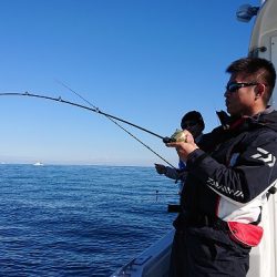 フィッシングボートACE(エース) 釣果