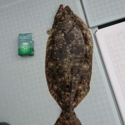 フィッシングボートACE(エース) 釣果