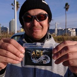 フィッシングボートACE(エース) 釣果