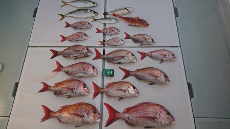 フィッシングボートACE(エース) 釣果