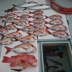 フィッシングボートACE(エース) 釣果