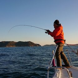 フィッシングボートACE(エース) 釣果