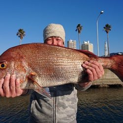 フィッシングボートACE(エース) 釣果