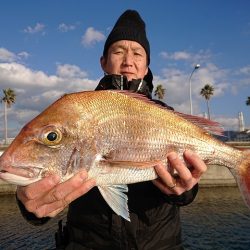 フィッシングボートACE(エース) 釣果