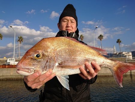 フィッシングボートACE(エース) 釣果