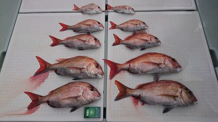 フィッシングボートACE（エース） 釣果