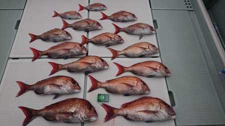 フィッシングボートACE（エース） 釣果