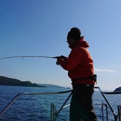 フィッシングボートACE（エース） 釣果