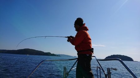 フィッシングボートACE（エース） 釣果