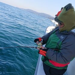 フィッシングボートACE（エース） 釣果