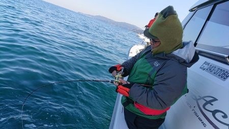 フィッシングボートACE（エース） 釣果