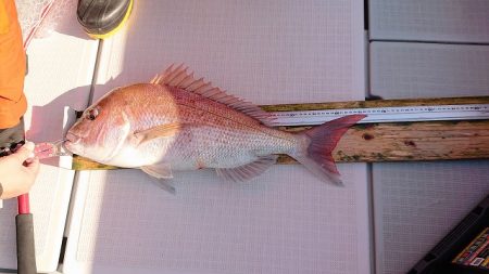 フィッシングボートACE（エース） 釣果