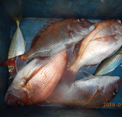作十丸 釣果