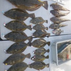 磯部釣船 直栄丸 釣果