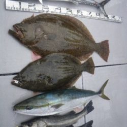 磯部釣船 直栄丸 釣果