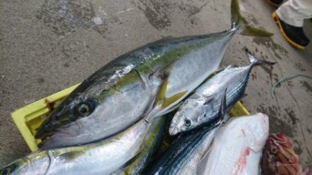 Sea Frend 片山丸 釣果