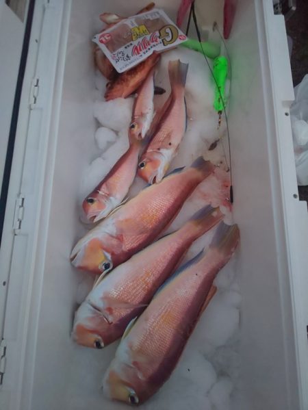 金剛丸 釣果