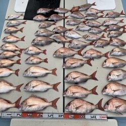 海人丸(うみんちゅまる) 釣果