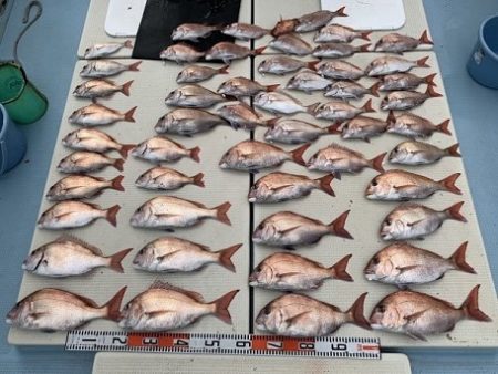 海人丸(うみんちゅまる) 釣果