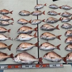 海人丸（うみんちゅまる） 釣果