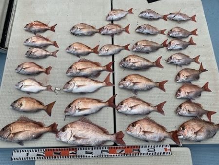 海人丸（うみんちゅまる） 釣果
