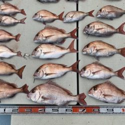 海人丸（うみんちゅまる） 釣果