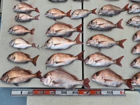 海人丸（うみんちゅまる） 釣果