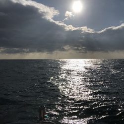 フィシングボートAir(エアー) 釣果