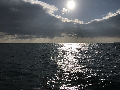 フィシングボートAir(エアー) 釣果