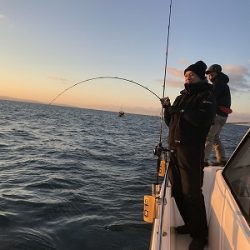 フィシングボートAir(エアー) 釣果