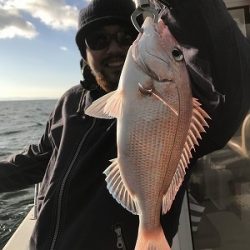 フィシングボートAir(エアー) 釣果