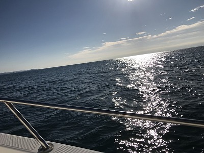 フィシングボートAir(エアー) 釣果