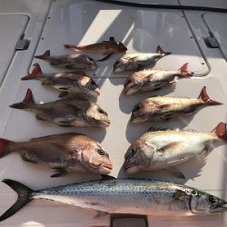 フィシングボートAir(エアー) 釣果