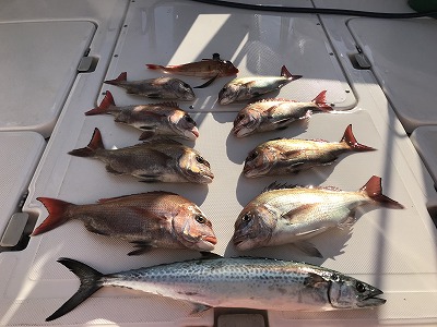 フィシングボートAir(エアー) 釣果