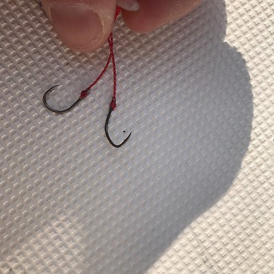 フィシングボートAir(エアー) 釣果