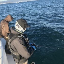 フィシングボートAir(エアー) 釣果