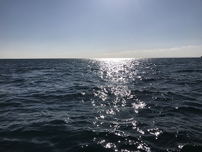 フィシングボートAir(エアー) 釣果