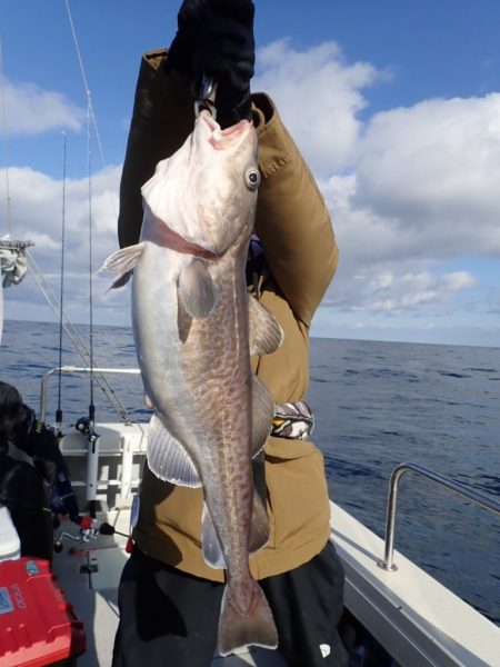 Aquanaut(アクアノート) 釣果