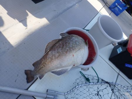 Aquanaut(アクアノート) 釣果