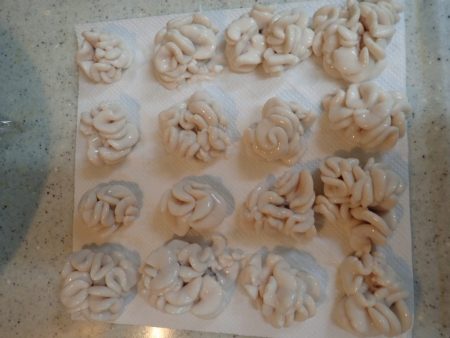 Aquanaut(アクアノート) 釣果