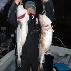 Aquanaut(アクアノート) 釣果