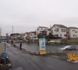 朝霞ガーデン 釣果