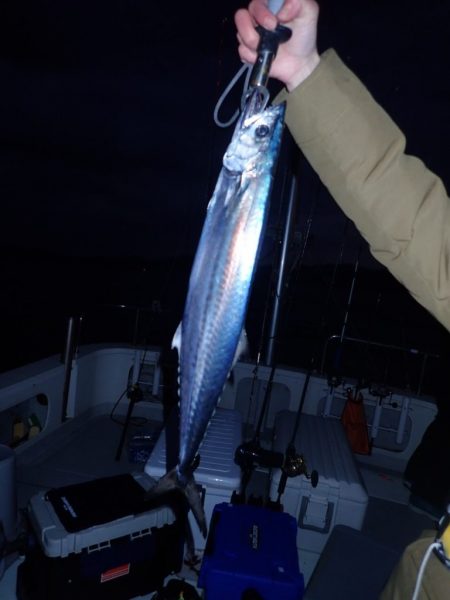 Aquanaut(アクアノート) 釣果