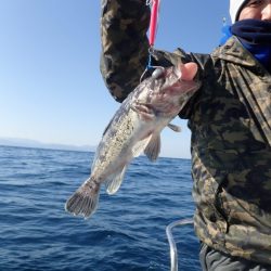 Aquanaut(アクアノート) 釣果