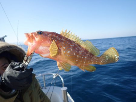 Aquanaut(アクアノート) 釣果