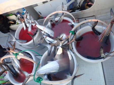 Aquanaut(アクアノート) 釣果